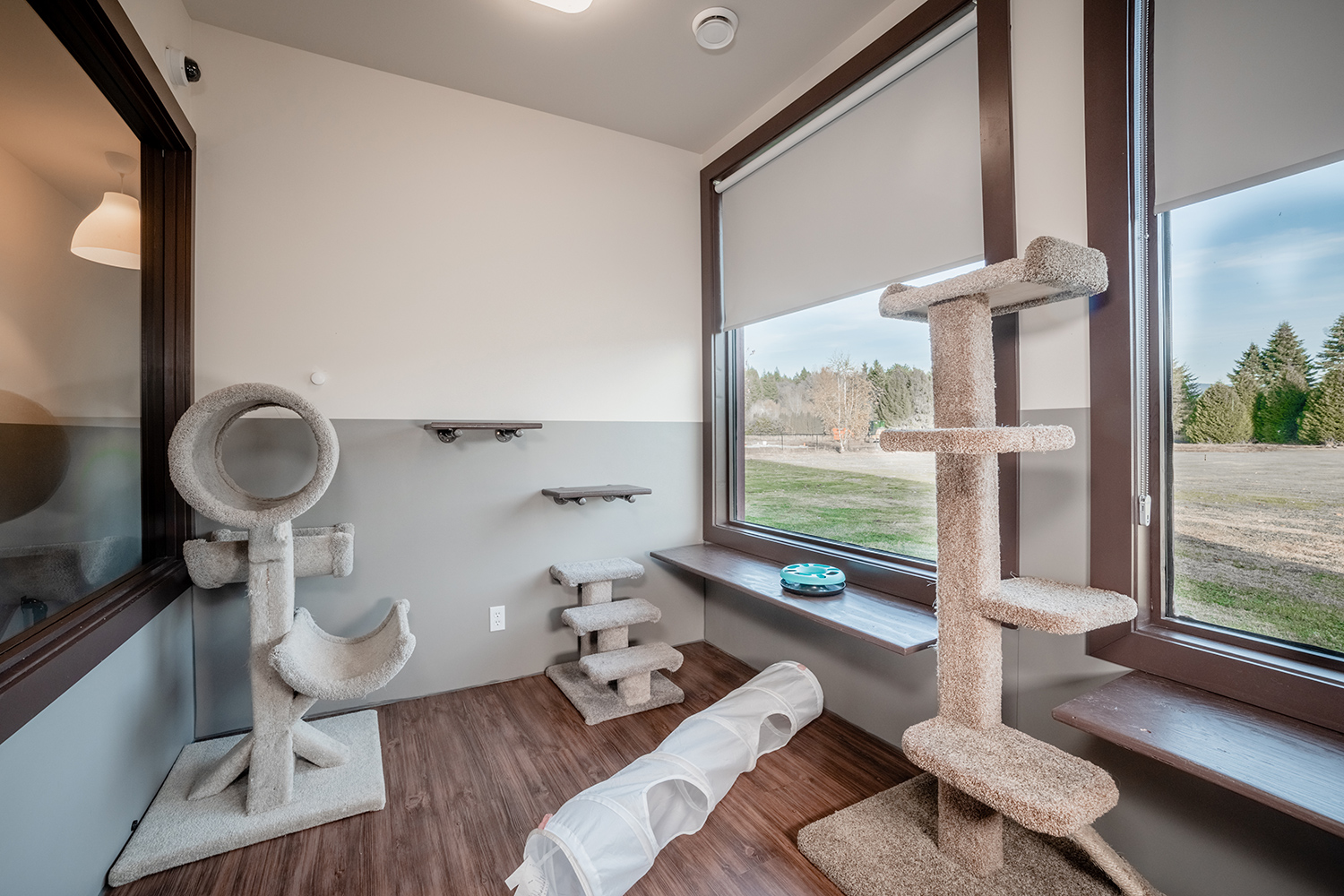 Playroom