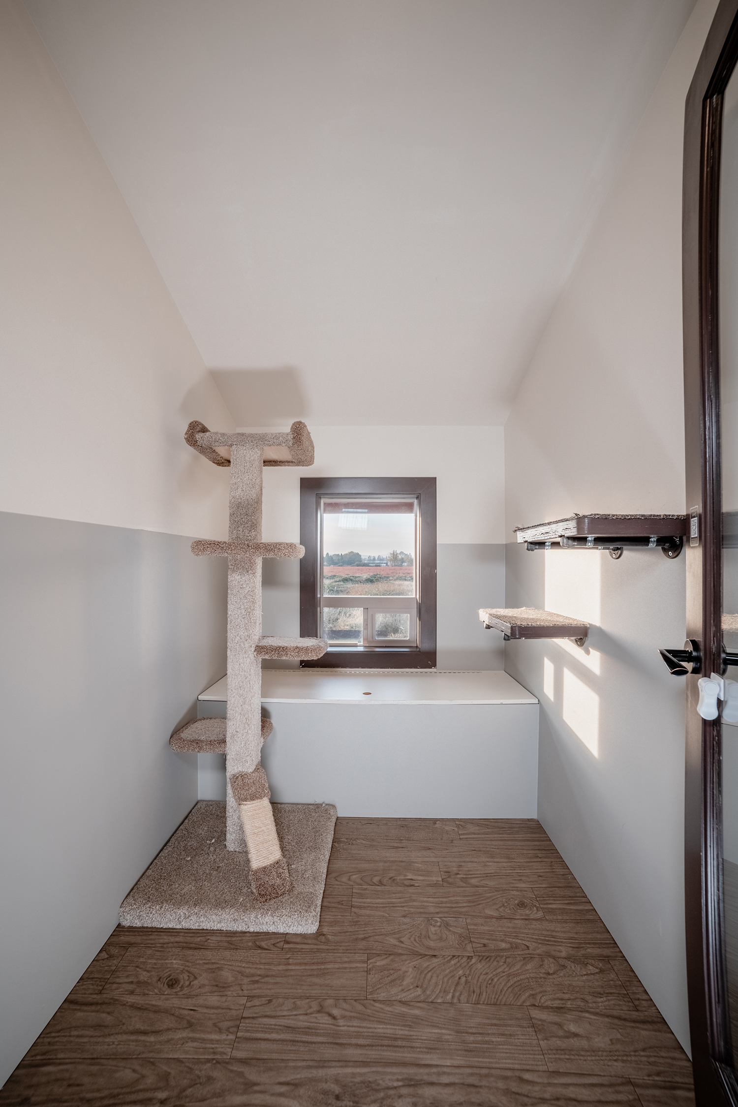 Vista View Room