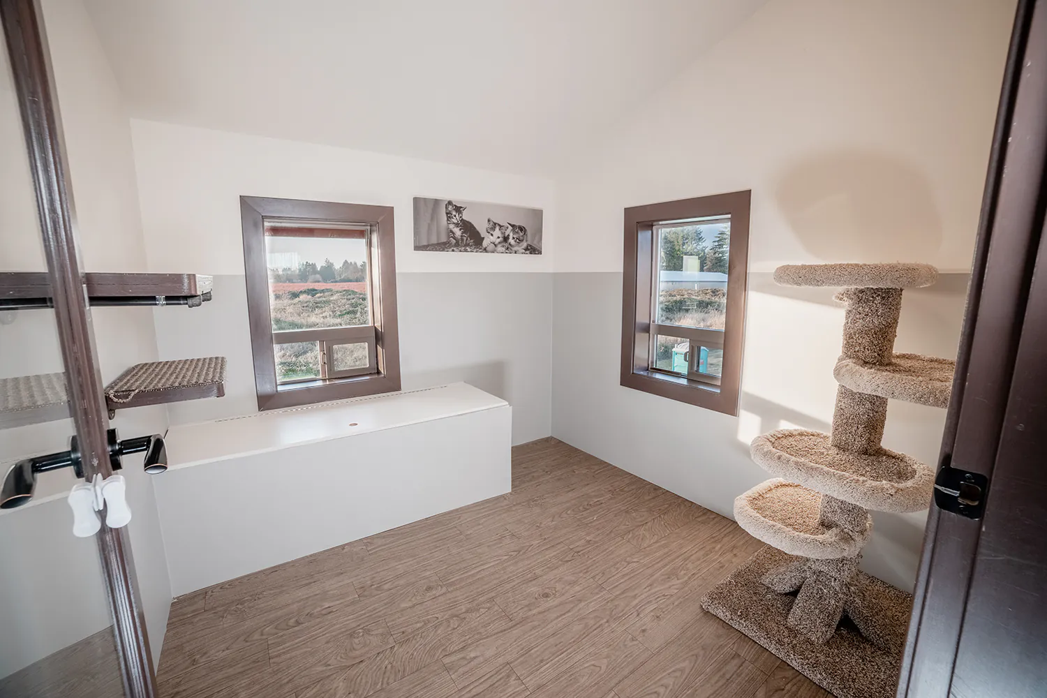 Corner Suite Room