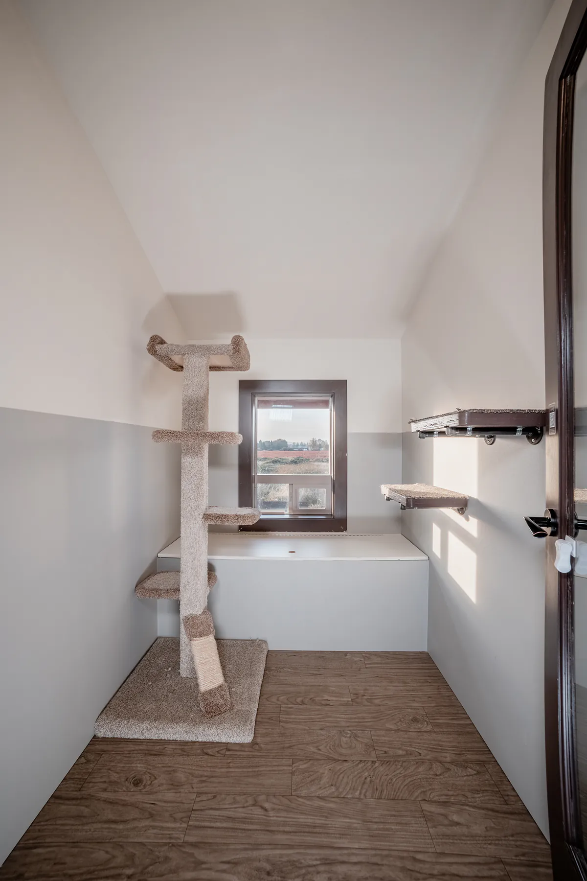 Vista View Room